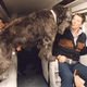Image for article titled Rare Glimpses Inside Marine One
